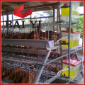 Jaula del pollo de la fuente de Alibaba China para la venta, gallineros baratos, jaula de pollo hexagonal galvanizada